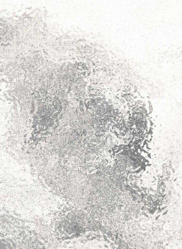 Пленка с/к "HONGDA" арт.2031 (сереб.) 0.45х8м