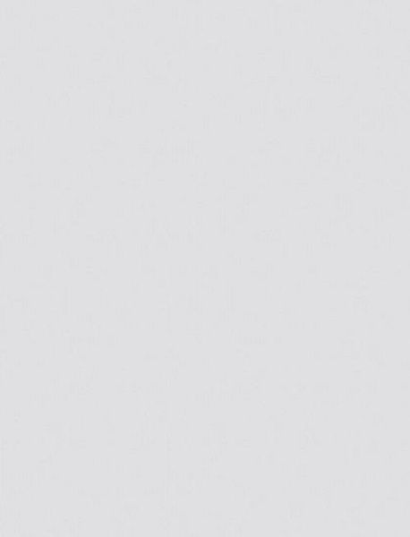 Пленка с/к Делюкс Professional арт.12046570 (белая холодная матовая с текстурой) 0.45х6м