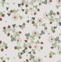 Клеенка на нетк.основе "Florista" 724-01 (1,40х20м)