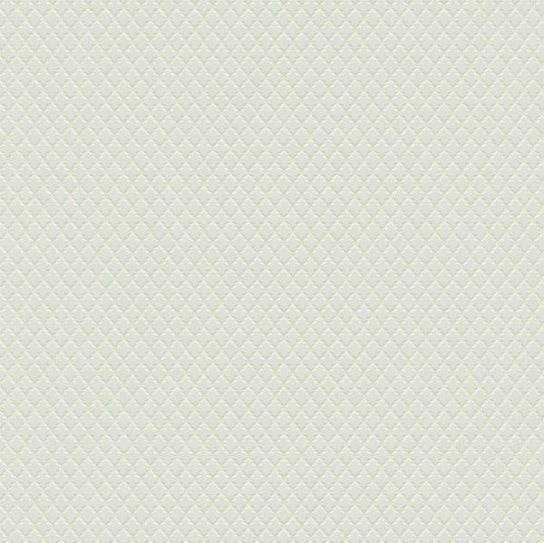 Обои Светлана фон дуплекс С6-04 0,5м*10м Гр.2 (упак. 12 рул. Саратов)