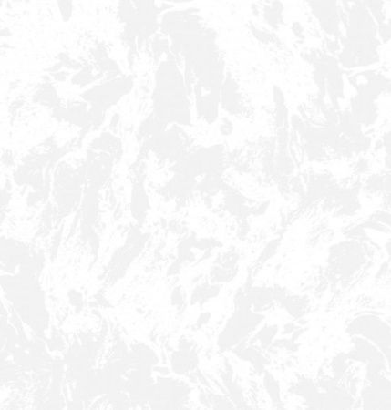 Обои Лирика фон дуплекс С6-06 0,5м*10м Гр.2 (упак. 12 рул. Саратов)