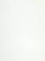 Пленка с/к "HONGDA" арт.2017 (белый) 67.5х8м